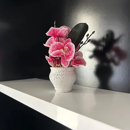 아파트 1 Bedroom 1138